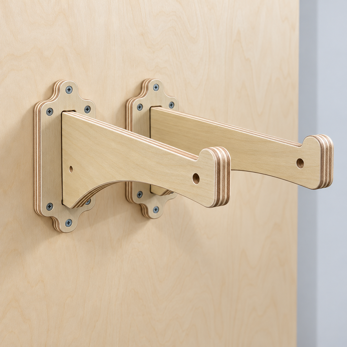 STV™  Utility Hook (2-pack)